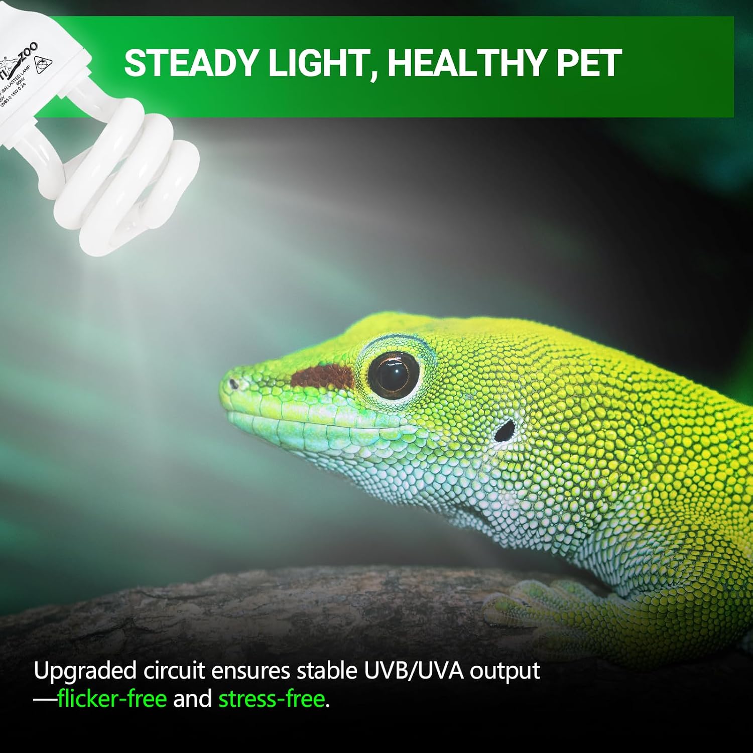REPTI ZOO UVB Light for Tropical Reptile, 2 Pack 5.0 15W UVA UVB Reptile Light Bulb, UVB Lamp for Crested Gecko Leopard Gecko Frog Toad Snake Chameleon - Image 5