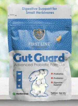 Gut Guard™ – Advanced Probiotic...