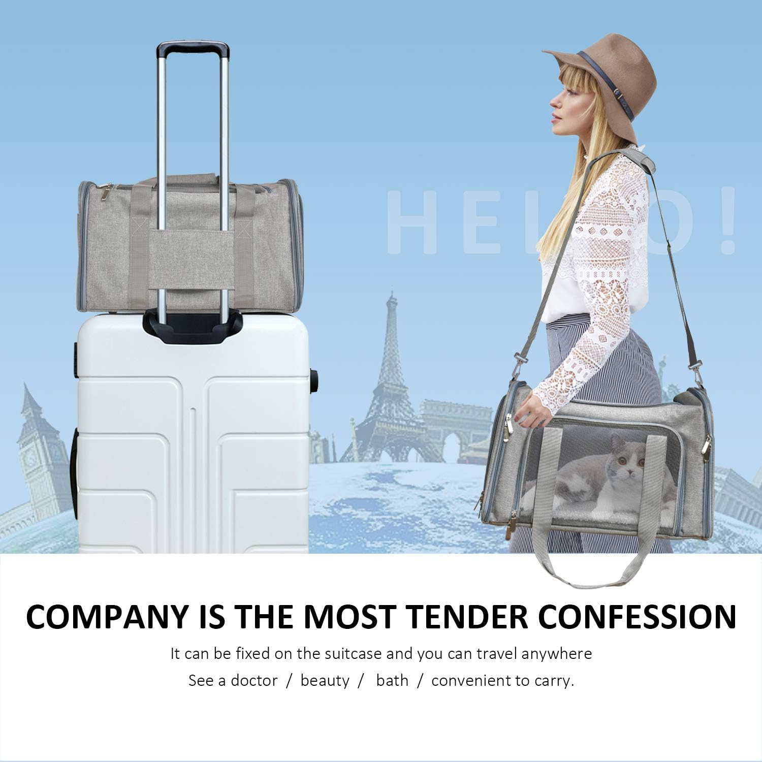 Henkelion Cat Carriers Dog Carrier Pet Carrier For Small / Medium Cats Dogs Puppies (Up To 15lbs), TSA Airline Approved Small Dog Carrier Soft Sided, Collapsible Waterproof Travel Puppy Carrier - Grey - Image 7