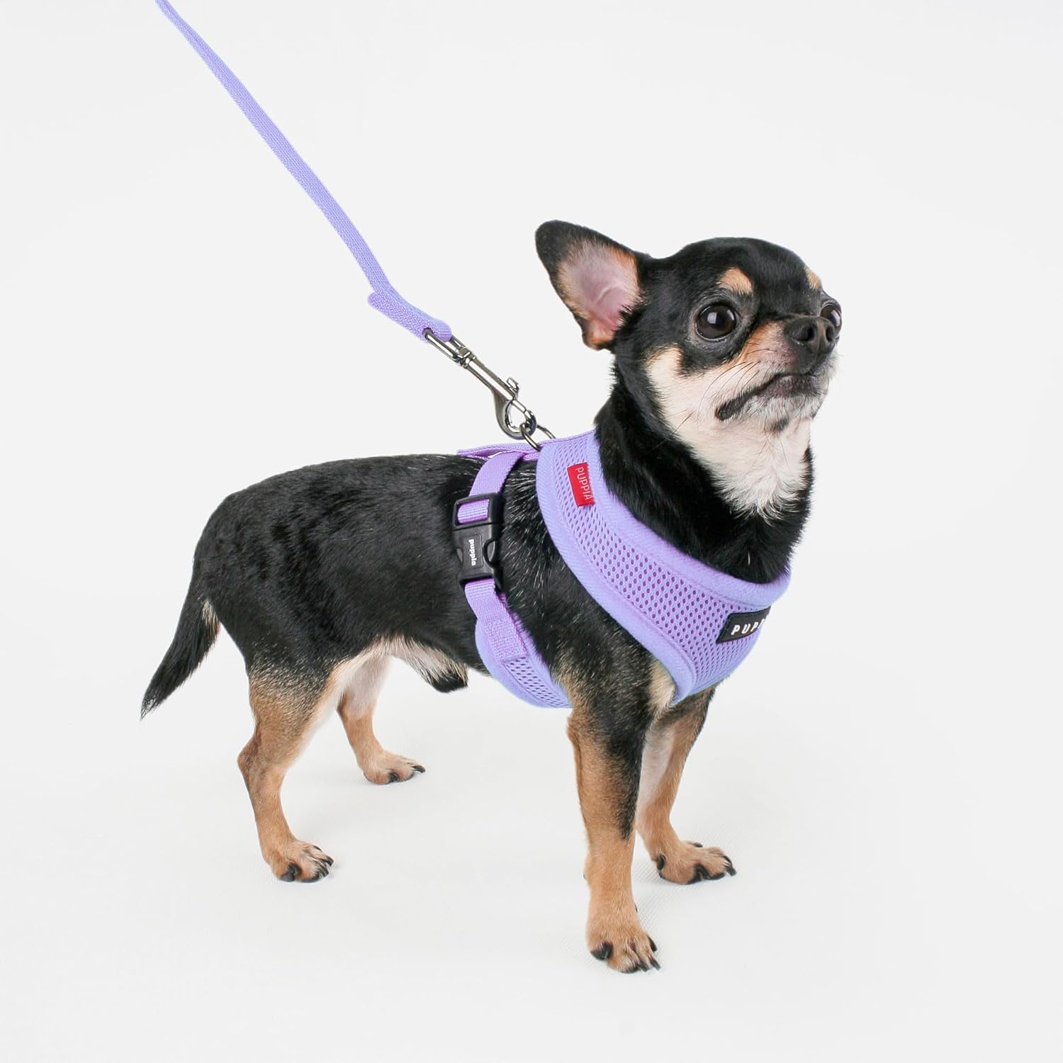 Puppia Soft Dog Harness No Choke Over-The-Head Triple Layered Breathable Mesh Adjustable Chest Belt and Quick-Release Buckle, Violet, Medium - Image 4