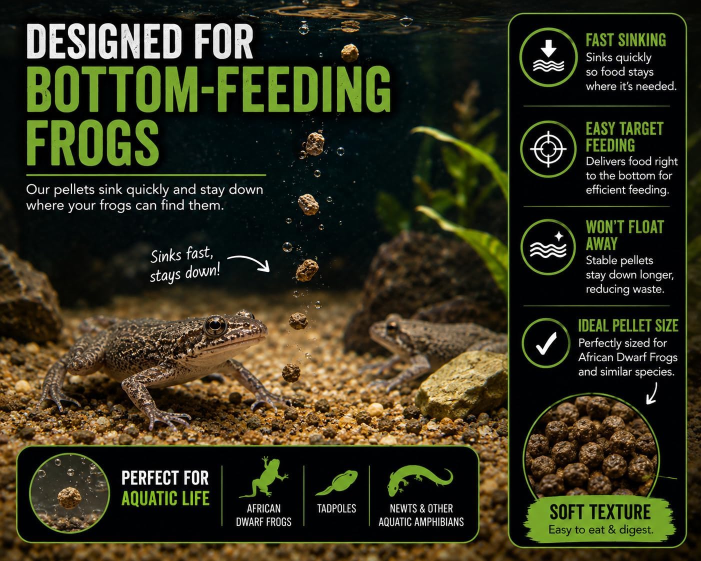 African Dwarf Frog Food – High Protein Sinking Pellets for Aquatic Frogs – Natural Insect-Based Diet – BugGraze 3oz - Image 4