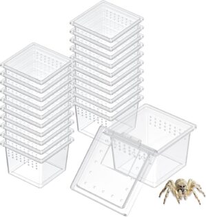 Pawfly 20 Pcs Mini Spider Terrarium...
