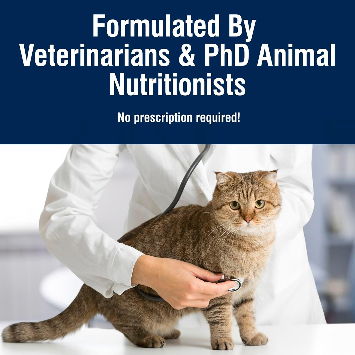 Blue Buffalo True Solutions Digestive Care Natural Dry Cat Food for Adult Cats, Chicken, 3.5-lb. Bag - Image 8