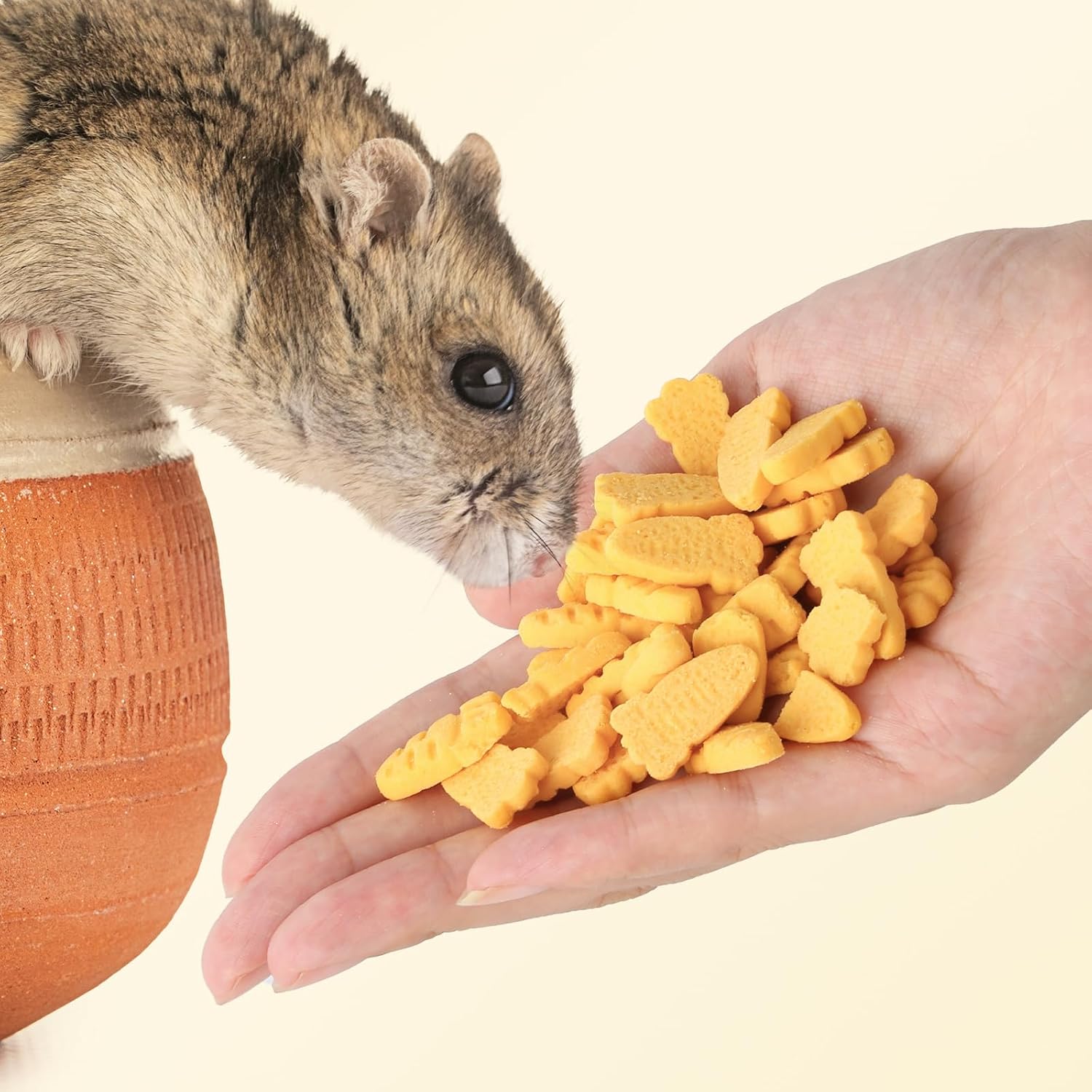 Abizoo Hamster & Gerbil Treats, Crunchy Baked Hamster Snacks with Carrot and Yeast, Natural Training Reward Chew Treats for Small Animals, Supports Digestion and Dental Health - Image 5