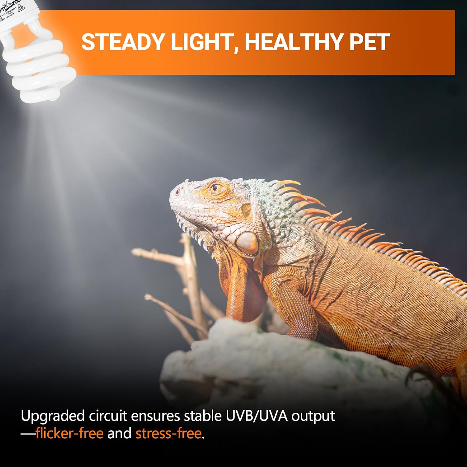 REPTI ZOO UVB Light for Desert Reptile 2 Pack, 10.0 26W UVA UVB Reptile Light Bulb, UVB Spiral Compact Lamp for Bearded Dragons Tortoises Lizards Snakes - Image 5