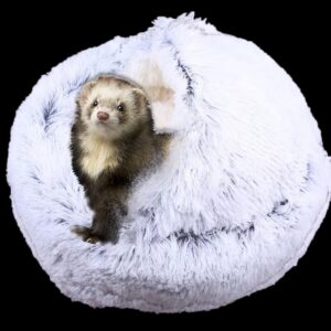 Ferret Bed Cave and Hideouts，Ferr...
