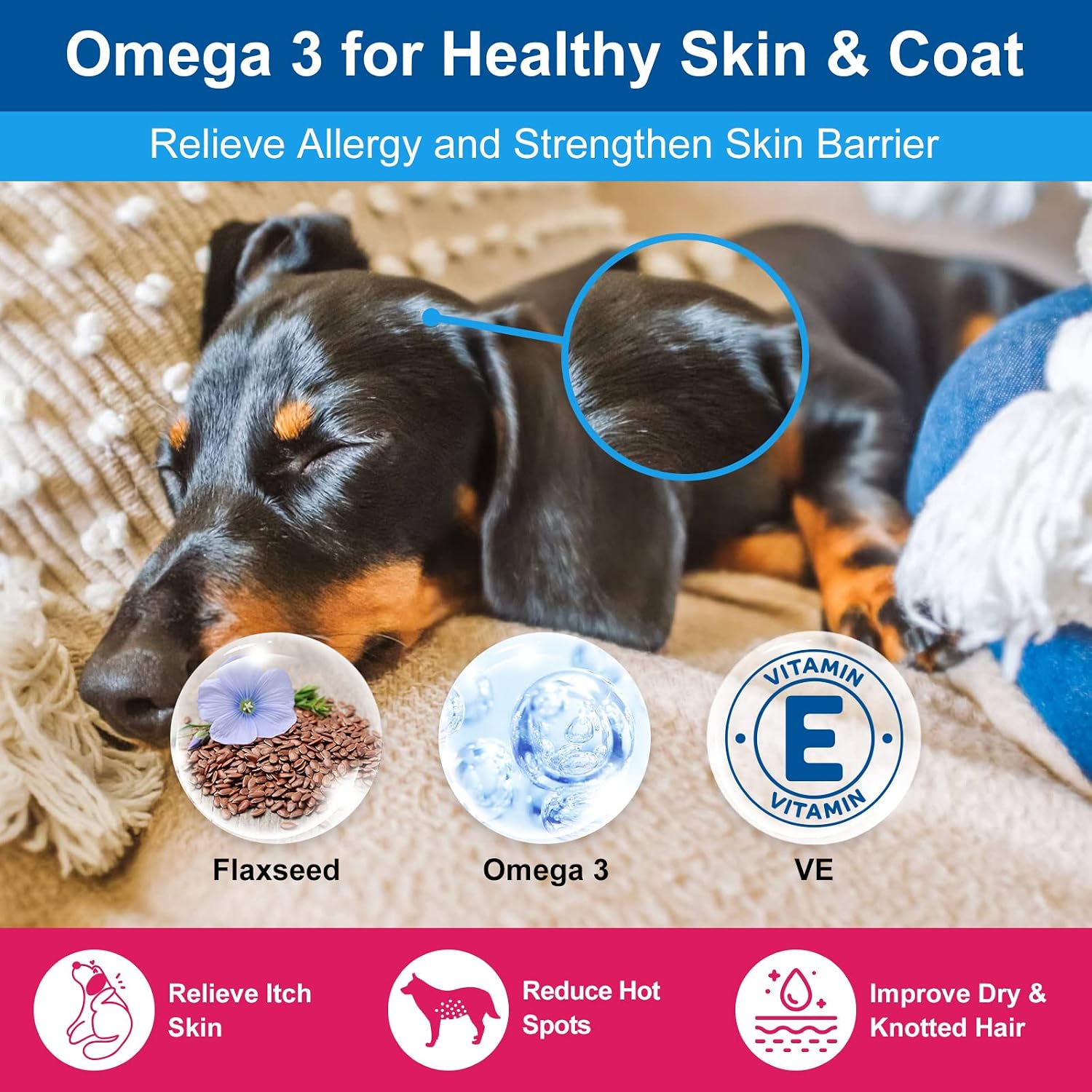 NATURE TARGET Dog Vitamins Powder, Probiotics & Digestive Enzymes for Gut Health, Glucosamine & Chondroitin & Omega 3, Complete Supplement for Homemade Dog Food, Joint & Skin & Immune Support - Image 6