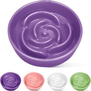 TRUVIC Ceramic Slow Feeder Dog Bowl...