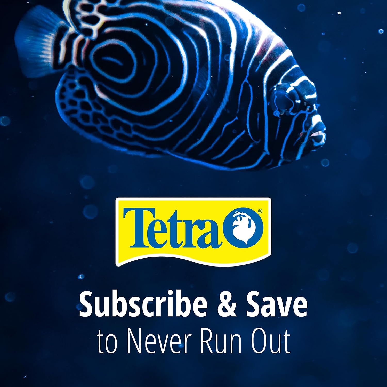 Tetra Whisper Bio-Bag Medium Filter Cartridges for Aquariums, 3 Count, Ready to Use, Fits Tetra Whisper Fish Tank Filters 5-10 Gal, PF-10, IQ 10 - Image 12