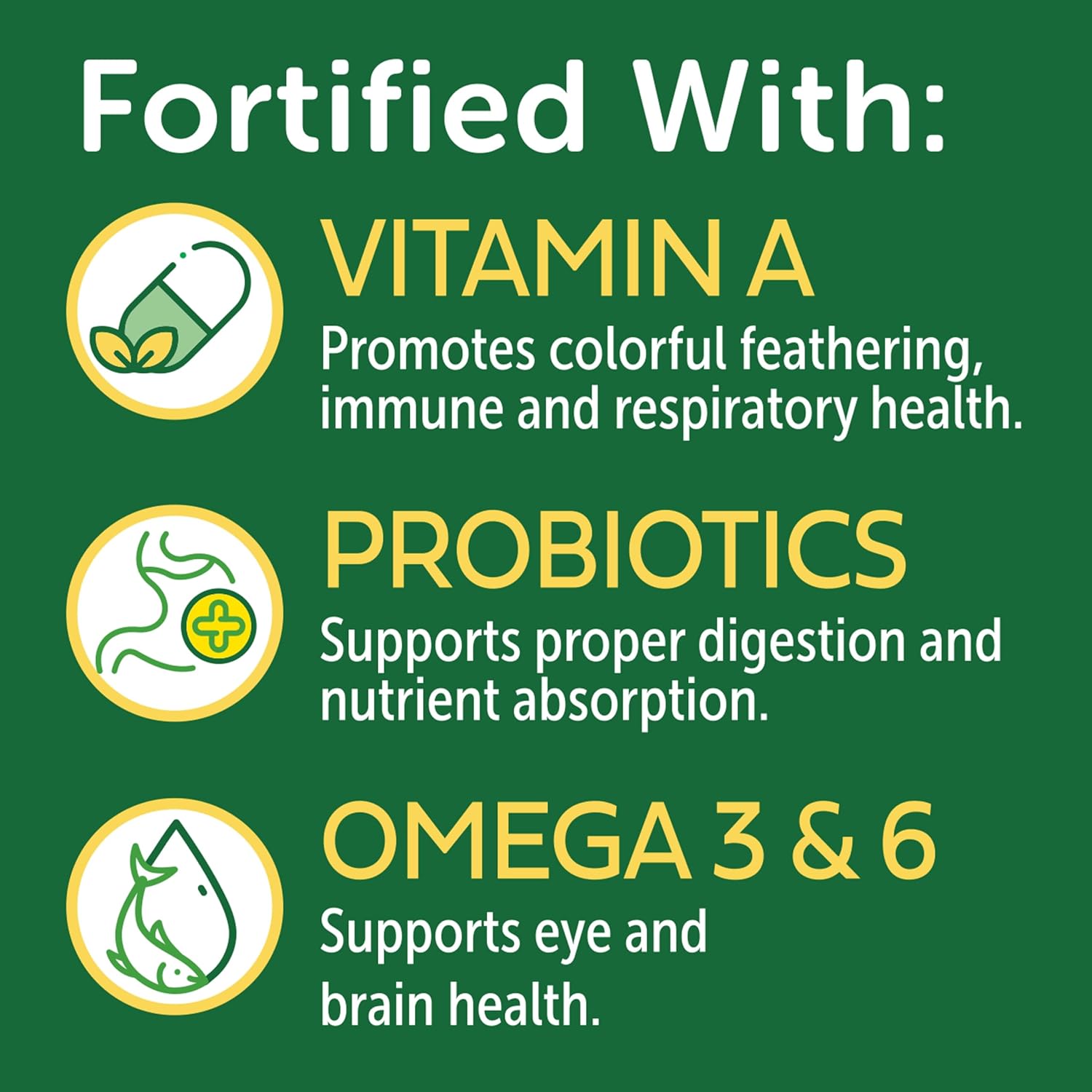 3-D Pet Products Premium Parrot Food, Seed Mix for Parrots, Cockatoos & Macaws, with Vitamins, Minerals & Probiotics, No Chemical Preservatives - Image 3