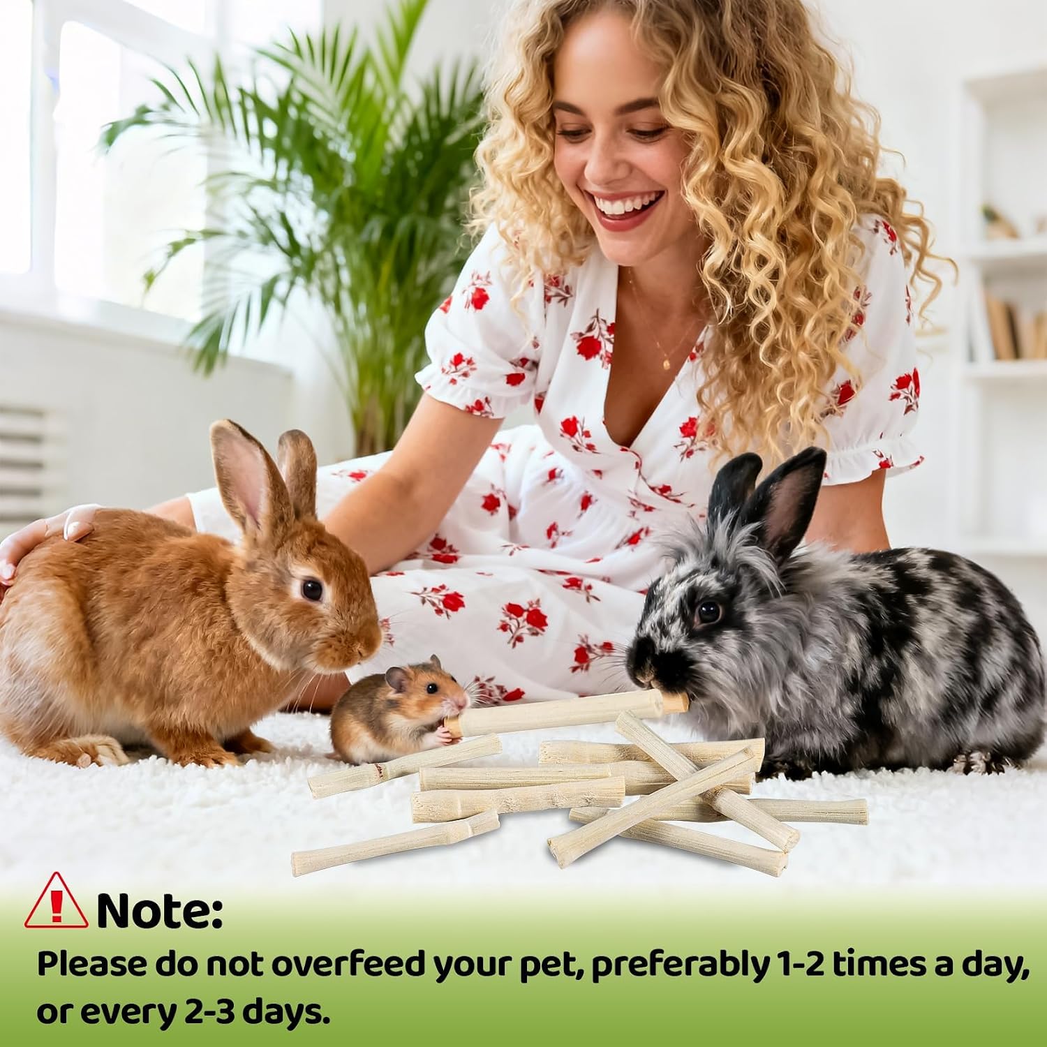 Sukh 240g Sweet Bamboo Chew Sticks - Rabbit Chew Sticks & Bamboo Sticks for Rabbits, Natural Bunny Bamboo Chew Toy for Teeth Grinding, Small Animal Treats for Guinea Pig, Hamster, Chinchilla - Image 5