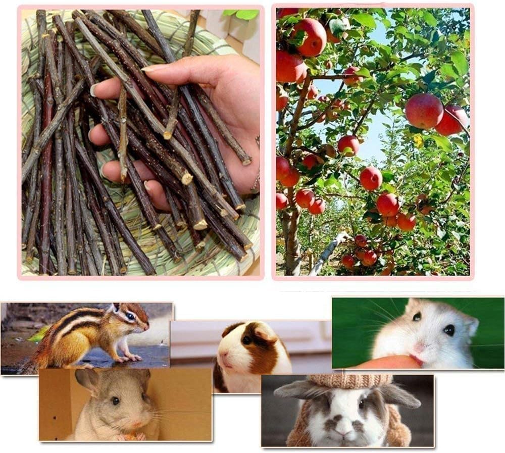 William Craft Apple Sticks Pet Chew Toys Treats for Chinchilla Guinea Pigs Rabbits Squirrel Hamster Bunny - Image 3