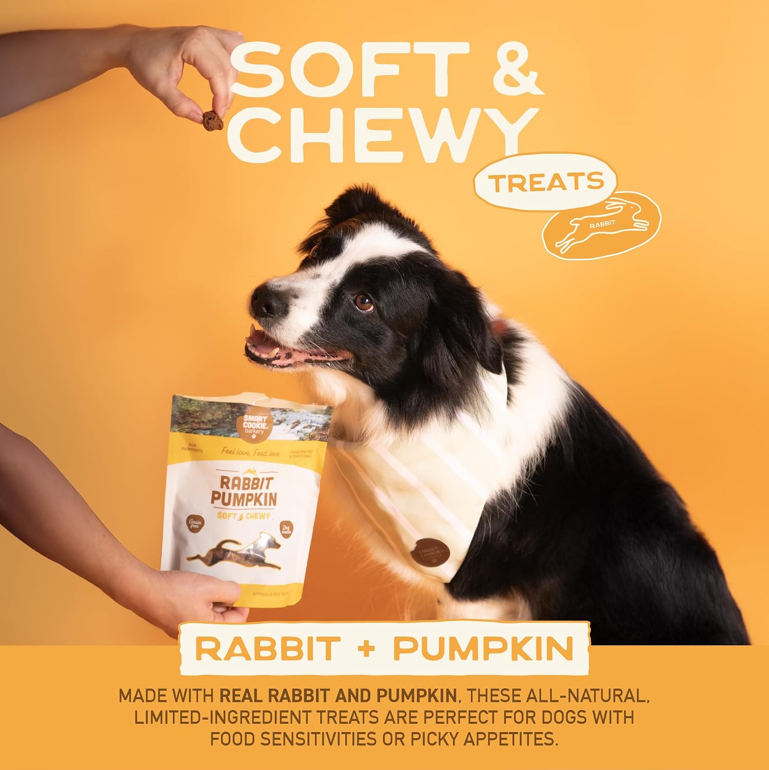 Smart Cookie Healthy Soft Dog Treats - Rabbit & Pumpkin - Grain Free Limited Ingredient Training Treats for Dogs with Sensitive Stomach & Allergies, Natural Novel Protein, Made in the USA (5oz.) - Image 3
