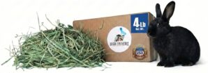 High Desert Orchard Grass Hay, Natu...