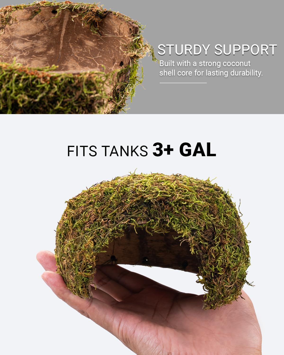 Reptile Hides and Caves – Leopard Gecko Tank Accessories, Natural Dome Reptile Cave & Shelter, Gecko Tank Accessories & Hermit Crab Shelter, Hamster Cage Accessories - Image 5