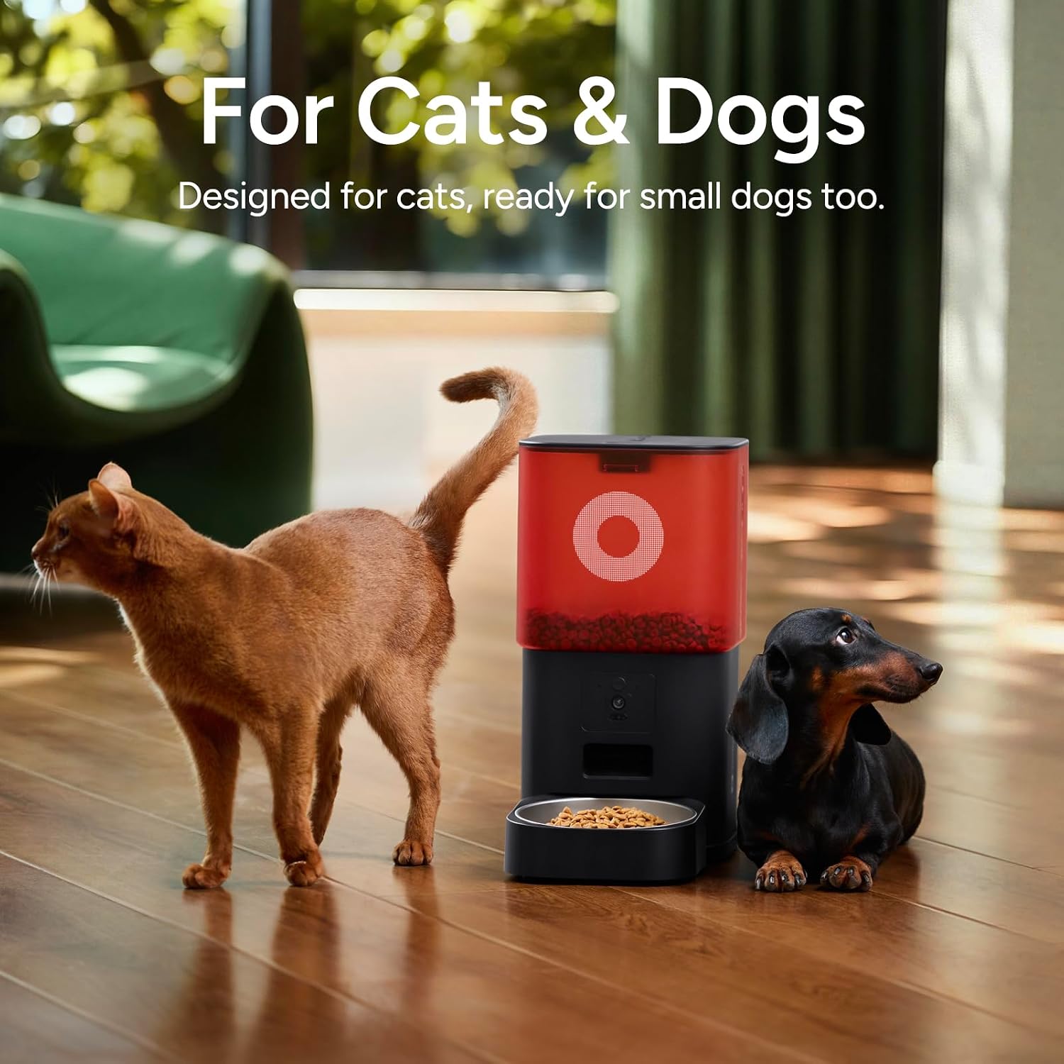 Automatic Cat Feeder with Camera: 6L Automatic Dog Feeder with 2-Way Audio Night Vision Dual Power Supply App Control 2.4G WiFi, Timed Auto Cat Food Dispenser with Stainless Steel Bowl(Black) - Image 8