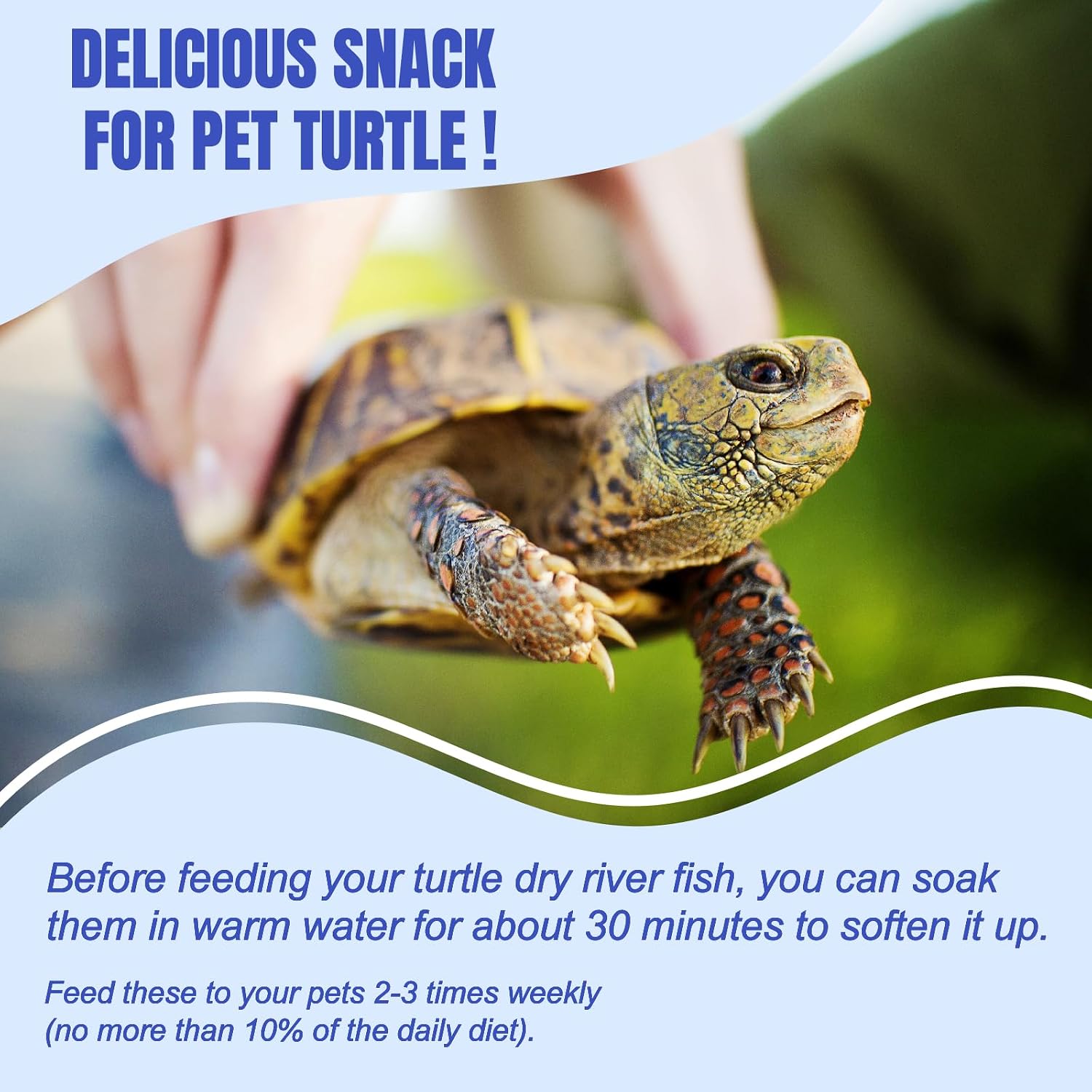 Amzey 2.3 oz Dried River Fish - Natural Food for Turtles, Terrapins, Reptiles and Large Tropical Fish - Image 7
