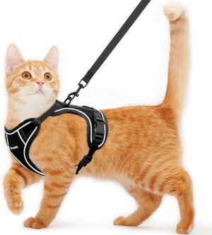 Cat Harness and Leash for Walking E...