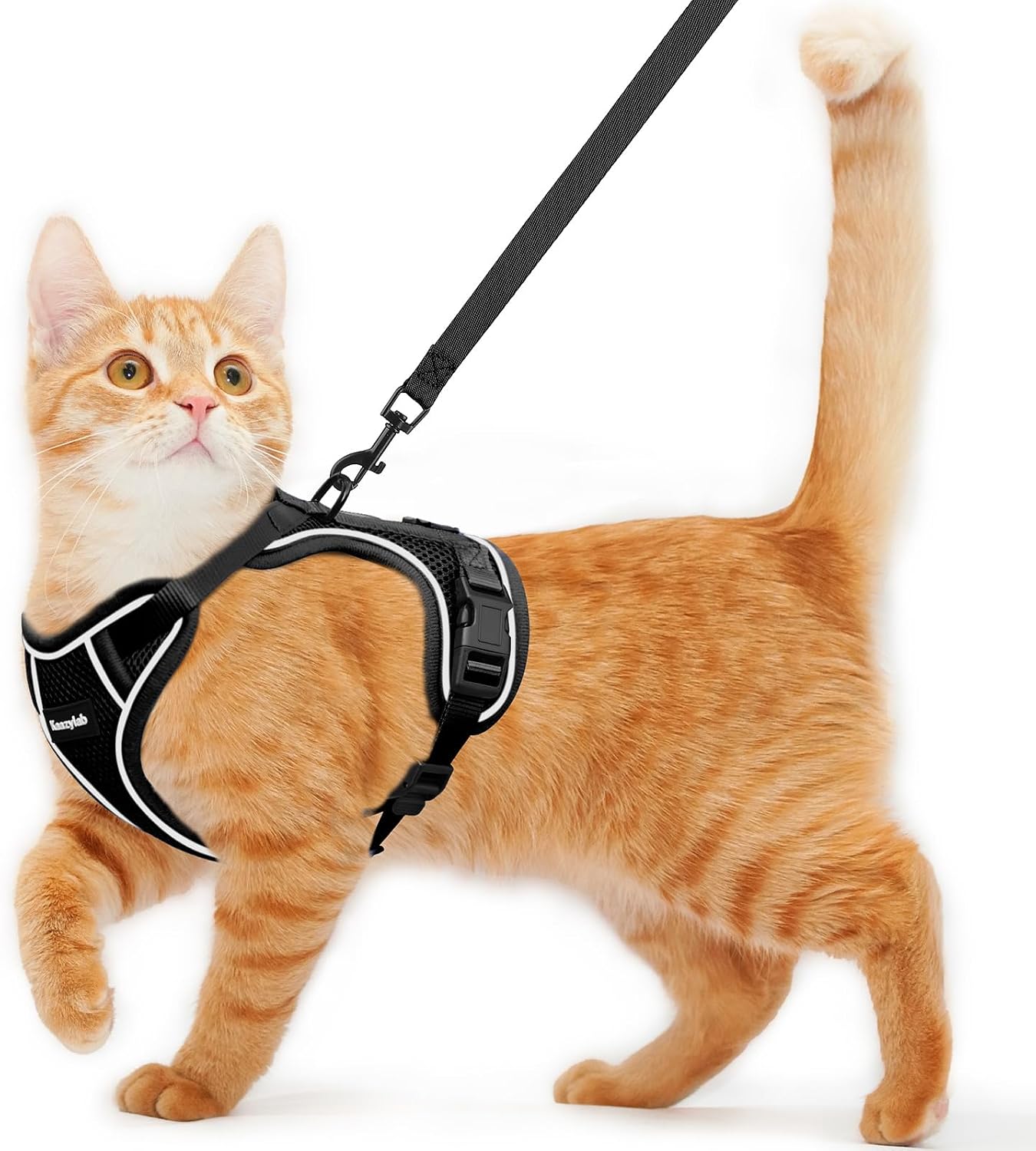 Cat Harness and Leash for Walking Escape Proof Soft Adjustable Cat Leash Breathable Comfortable Vest Easy to Wear Kitten Harness for Outdoor Travel (Black, S (7-12lb))
