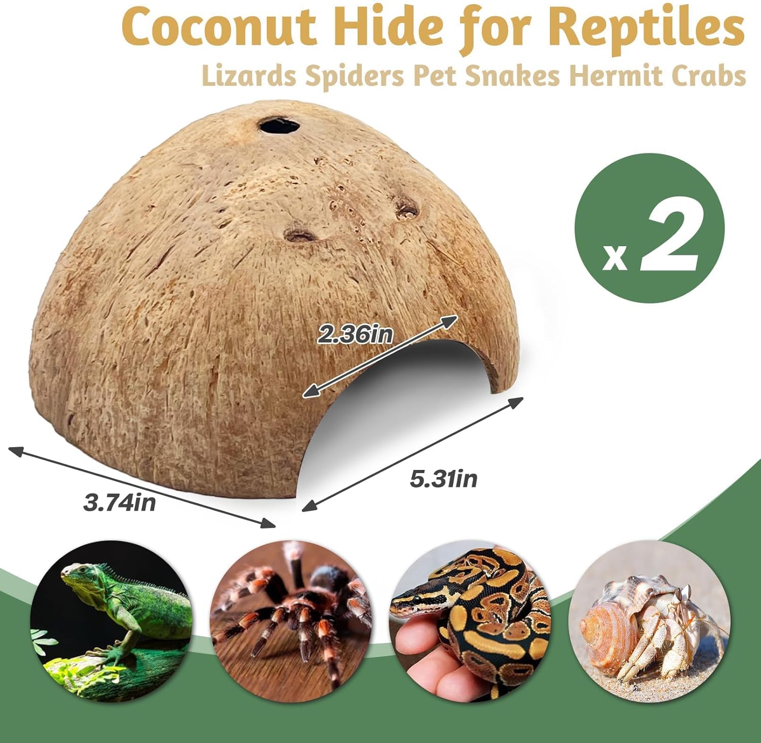 PINVNBY 2 PCS Natural Coconut Reptile Hideouts Lizard Coco Hut Hermit Crab Hut Aquarium Fish Hide Cave Spider Snail Climber Toys - Image 2