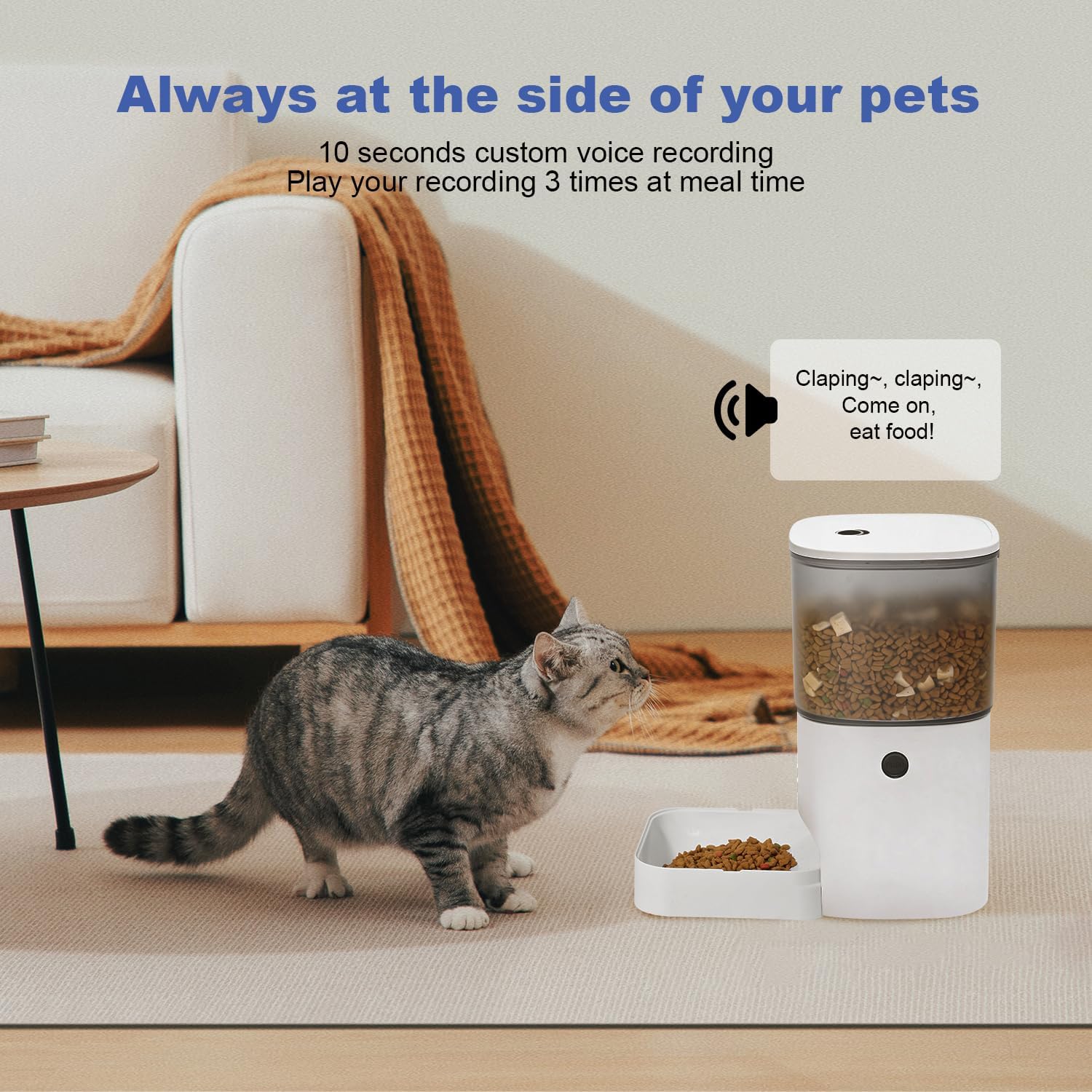 ANDOLL HOME Automatic Cat Feeder, 4L Cat Food Dispenser with 10s Voice Recorder, Pet Feeder up to 8 Meals per Day, Timed Dog Feeder with Dry Food Sealed Ring - Image 6