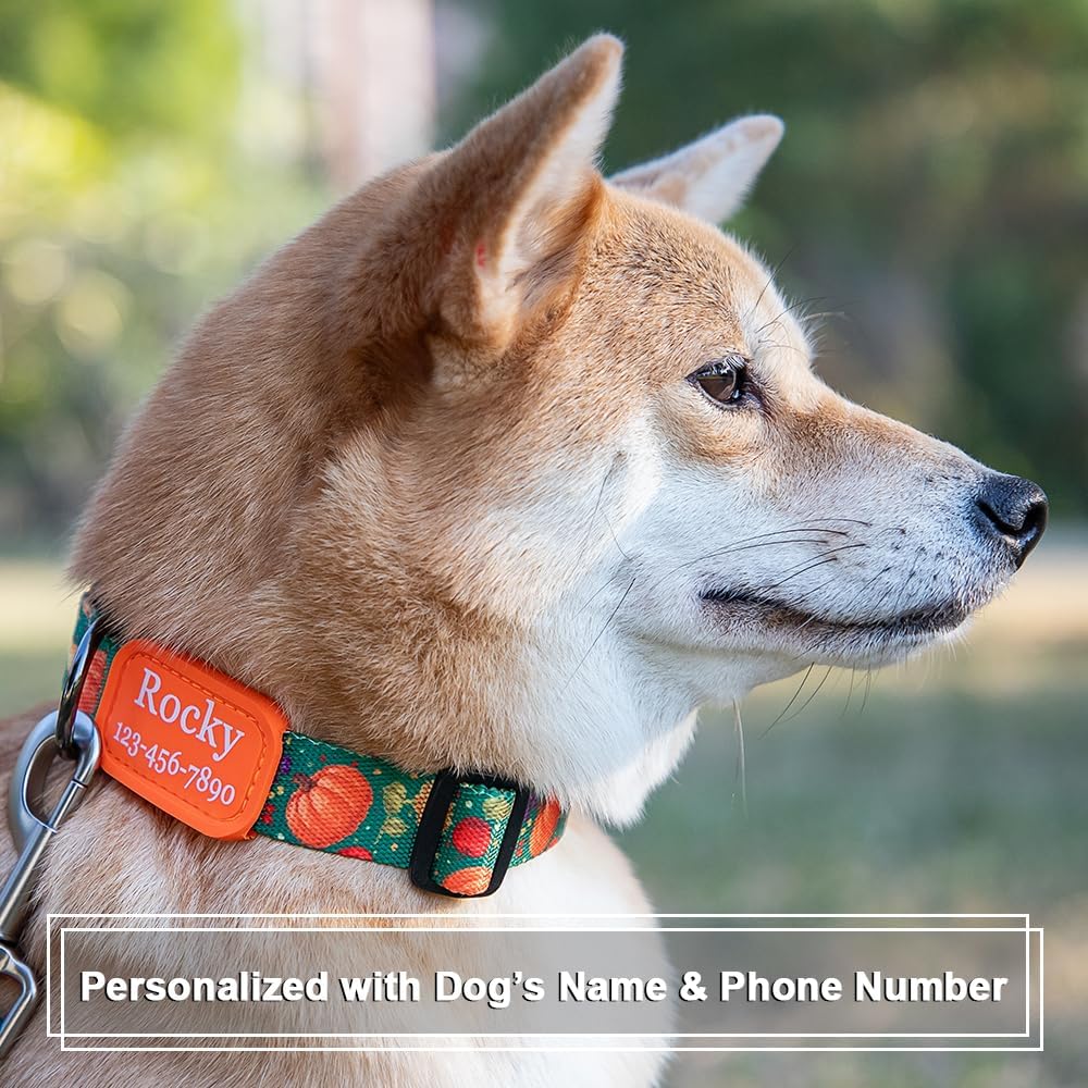 Personalized Floral Dog Collar with Name and Phone Number | Durable Metal Buckle | Cute Flower Girl Boy Dog Collar | Adjustable for Large Medium and Small Dogs - Image 2