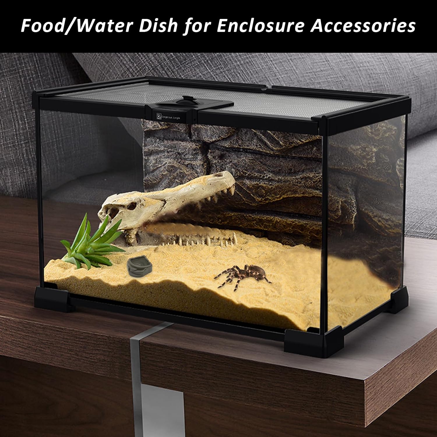 6 Pcs Spider Micro Water Bowls, Mini Resin Dish for Tarantula, Spider, Millipede and Tiny Reptiles, Food/Water Dish for Enclosure Accessories (1.65" D, 0.59" H) - Image 5