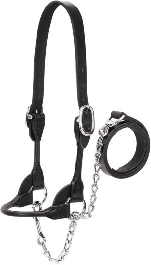 Weaver Leather Livestock Dairy/Beef...
