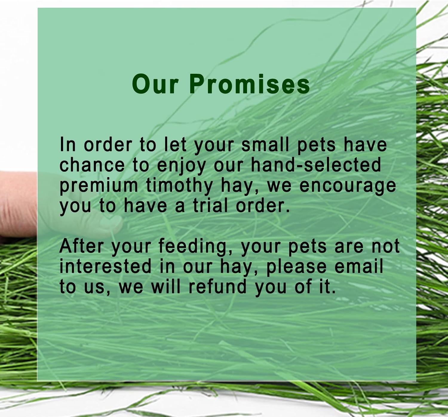 Timothy Hay, 1.1LB Small Pet Feed | Dust-free, natural fresh green hay, suitable for rabbits, guinea pigs, chinchillas, tortoises - Image 2