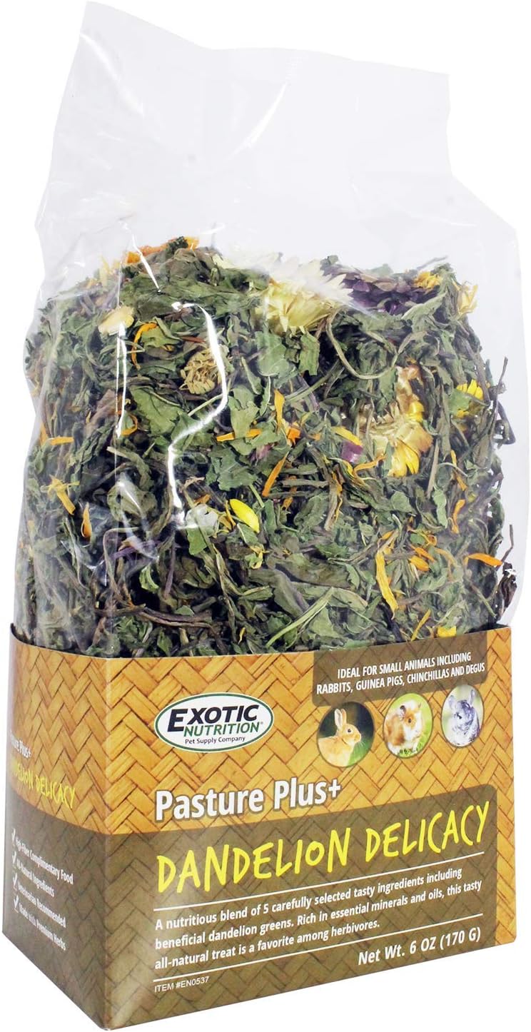 Exotic Nutrition Pasture Plus+ Dandelion Delicacy - Healthy Natural High-Fiber Dried Flower Treat - Guinea Pigs, Rabbits, Chinchillas, Prairie Dogs, Degus, Hamsters, Gerbils & Other Small Pets - Image 3