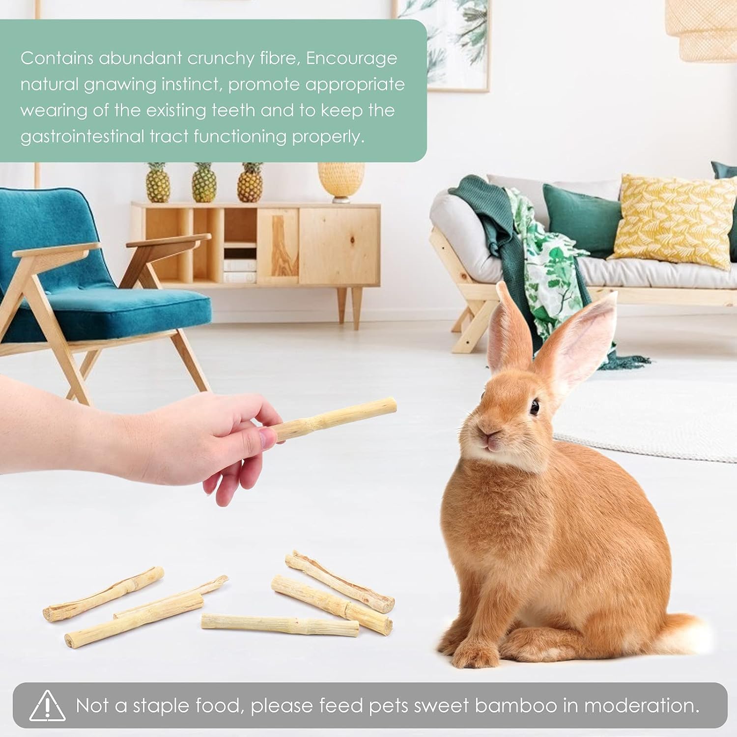 Bissap Sweet Bamboo Chew Sticks for Rabbits 500g/1.1Ib, Bunny Molar Treats Snack for Small Animals Hamsters Chinchillas Guinea Pigs Squirrels Natural Teeth Grinding Toys - Image 4