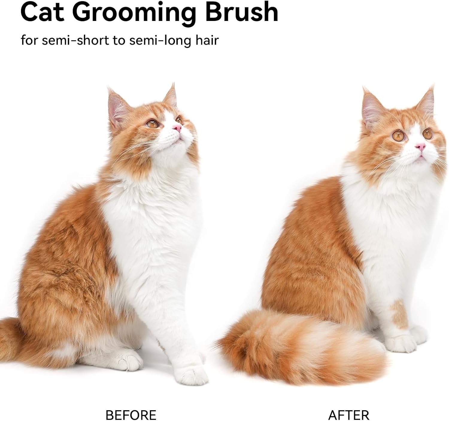 Aumuca Cat Brush for Shedding, Cat Brushes for Indoor Cats, Cat Brush for Long or Short Haired Cats, Cat Grooming Brush Cat Comb for Kitten Rabbit Massage Removes Loose Fur - Image 9