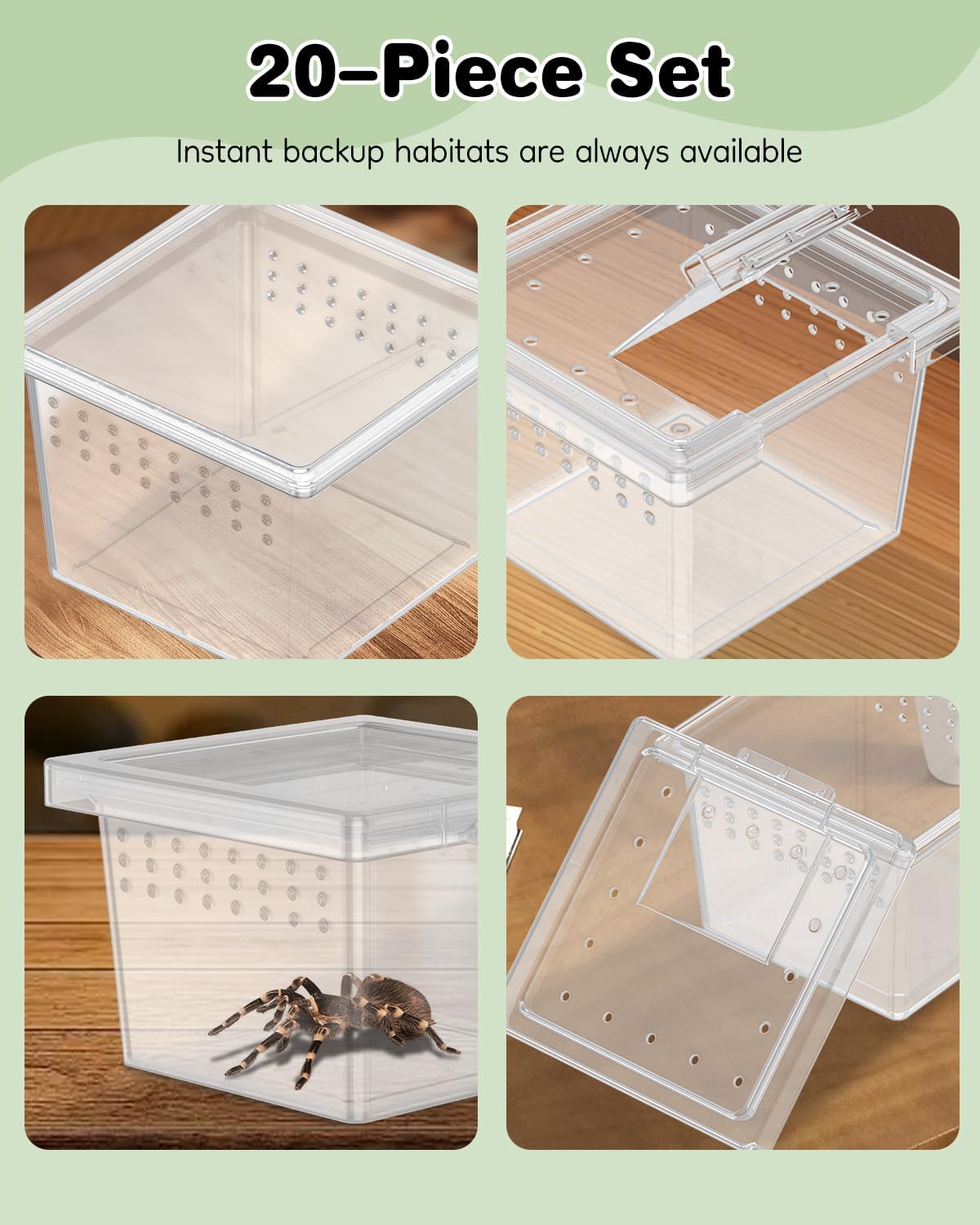 Pawfly 20 Pcs Mini Spider Terrarium Breeding Box, Transparent Plastic Jumping Spider Enclosure Cricket Keeper Tarantula Enclosure, Small Reptile Hatching Container for Scorpion Centipede Gecko Mantis - Image 7