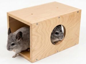 Chinchilla Natural Wood Hanging Tun...