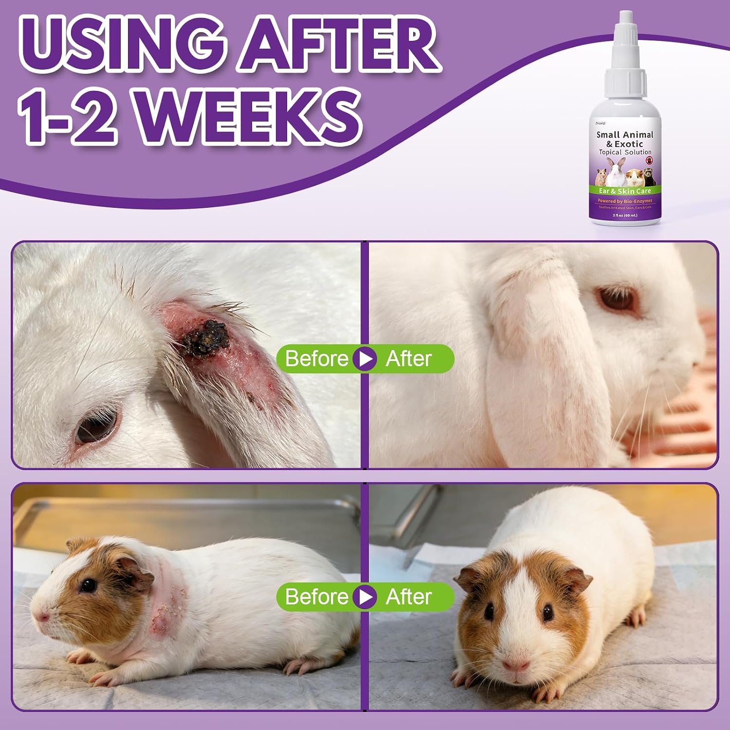 Topical Solution for Rabbits, Guinea Pigs & Exotics, Relieves Ear & Skin Infections, Scratching & Wounds, for Hamsters, Ferrets & Birds, Antibiotic-Free & Safe if Licked, 4 oz - Image 4