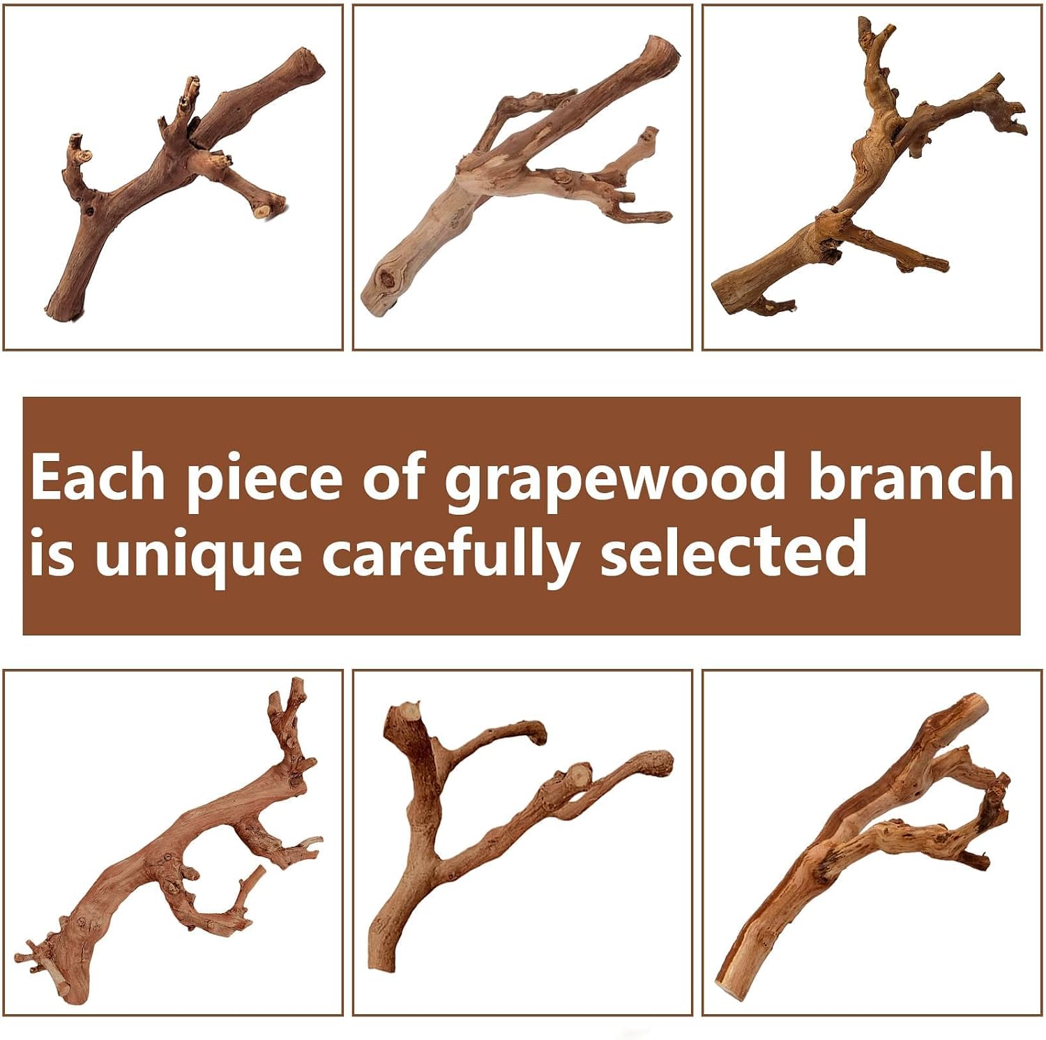 BNOSDM 2PCS Reptile Wood Branches Decor,Lizard Habitat Natural Wood Decoration,Snake Climbing Branch Accessories,Terrarium Tree Trunk Ornament for Bearded Dragon Gecko Frog Chameleon Spider - Image 8