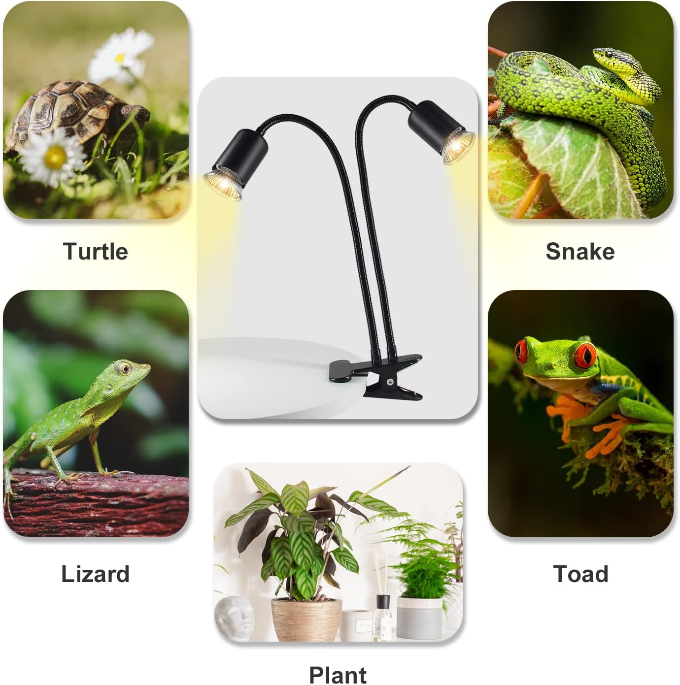 TFNN Reptile Heat Lamp, Double-Head Heat Lamp with Clamp, UVA UVB Reptile Light with Intelligent Cycle Timer for Turtle, Bearded Dragon, Lizard and More, 2 Bulbs 25W+50W - Image 6