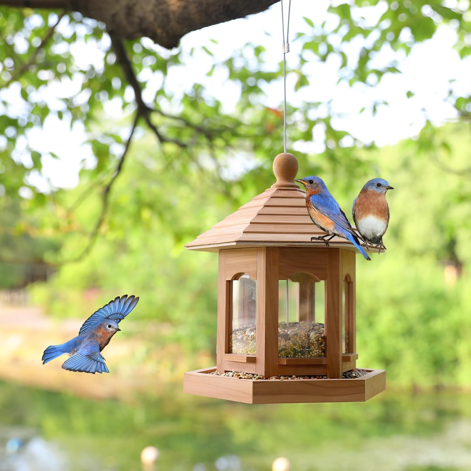 Wooden Bird Feeder for Outdoors Hanging, Red Cedar Hexagon Shaped Large Capacity, Cardinal Birdfeeder for Garden Decoration Yard, Weatherproof and Durable(Medium) - Image 2