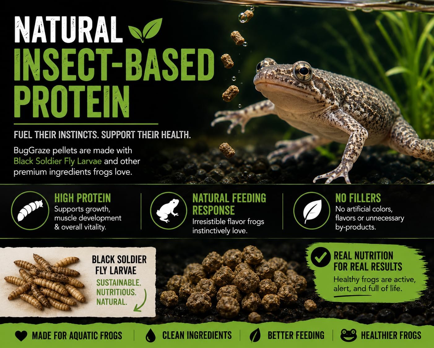 African Dwarf Frog Food – High Protein Sinking Pellets for Aquatic Frogs – Natural Insect-Based Diet – BugGraze 3oz - Image 3