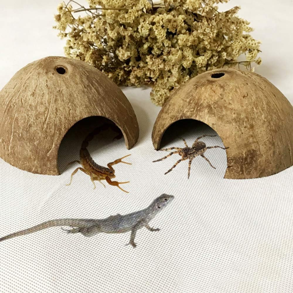 PINVNBY 2 PCS Natural Coconut Reptile Hideouts Lizard Coco Hut Hermit Crab Hut Aquarium Fish Hide Cave Spider Snail Climber Toys - Image 5