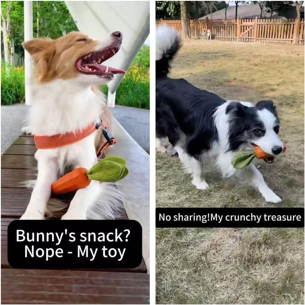 MewaJump Dog Squeaky Chew Toys for Aggressive Chewers, Rubber Carrot Dog Toys for Training and Cleaning, Durable Interactive Tough Dog Toy for Puppy Medium Dogs - Image 3