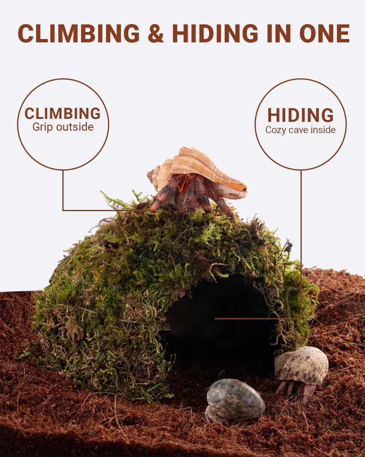 Reptile Hides and Caves – Leopard Gecko Tank Accessories, Natural Dome Reptile Cave & Shelter, Gecko Tank Accessories & Hermit Crab Shelter, Hamster Cage Accessories - Image 3