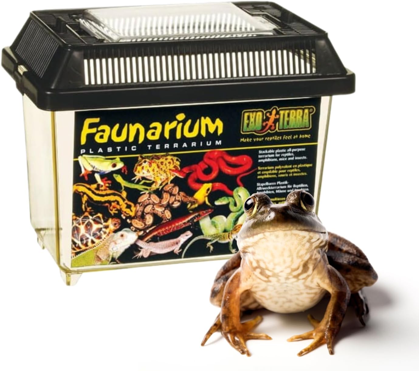 Exo Terra Faunarium Small PT2255 – Plastic Reptile Terrarium and Transport Container for Lizards, Spiders & Amphibians - Image 5