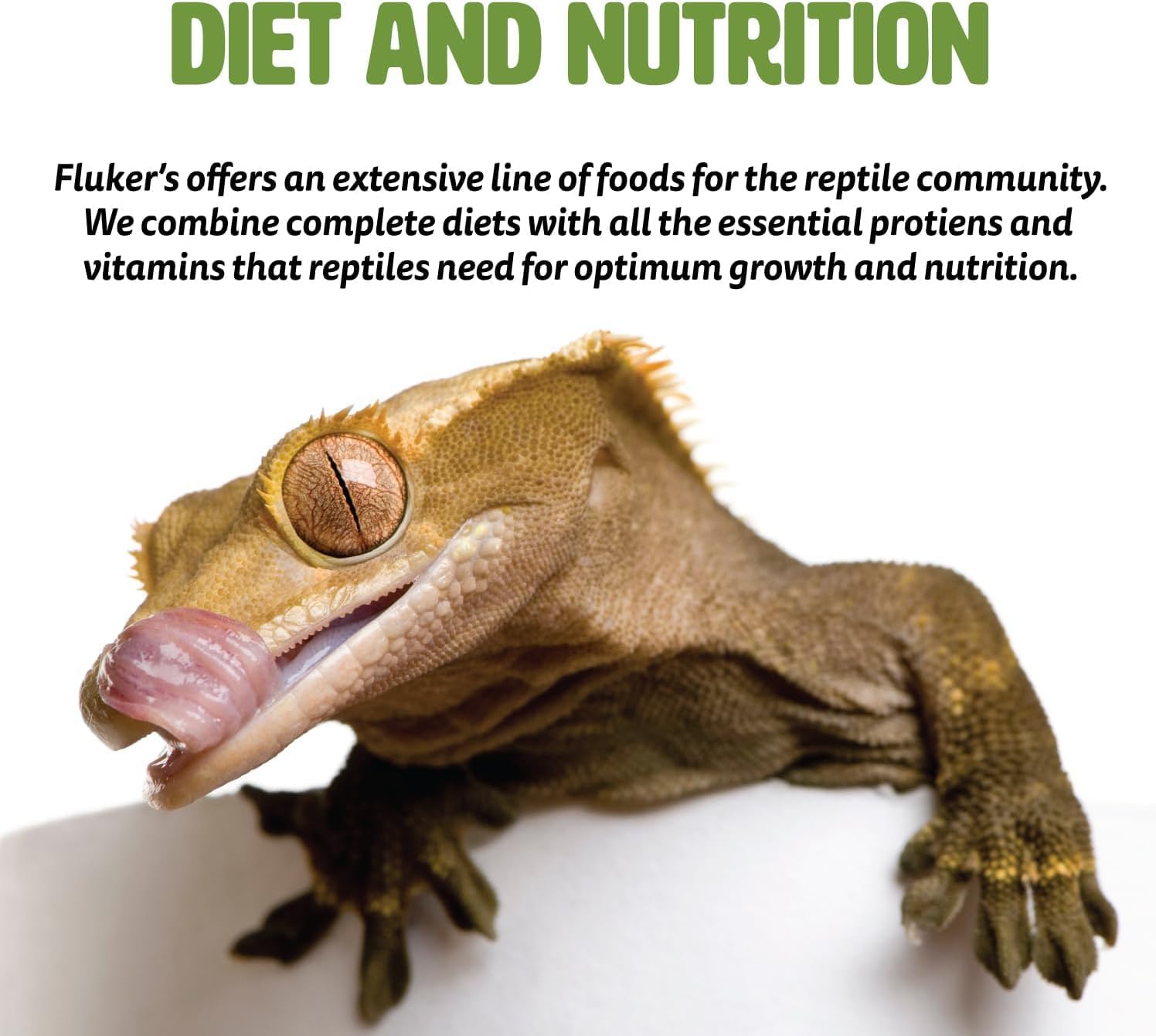 Fluker’s Grub Bag All Natural Calcium Fortified Mealworm Treats, Packed with Protein, Rich in Nutrients, A Reptile Favorite, 3 oz - Image 9