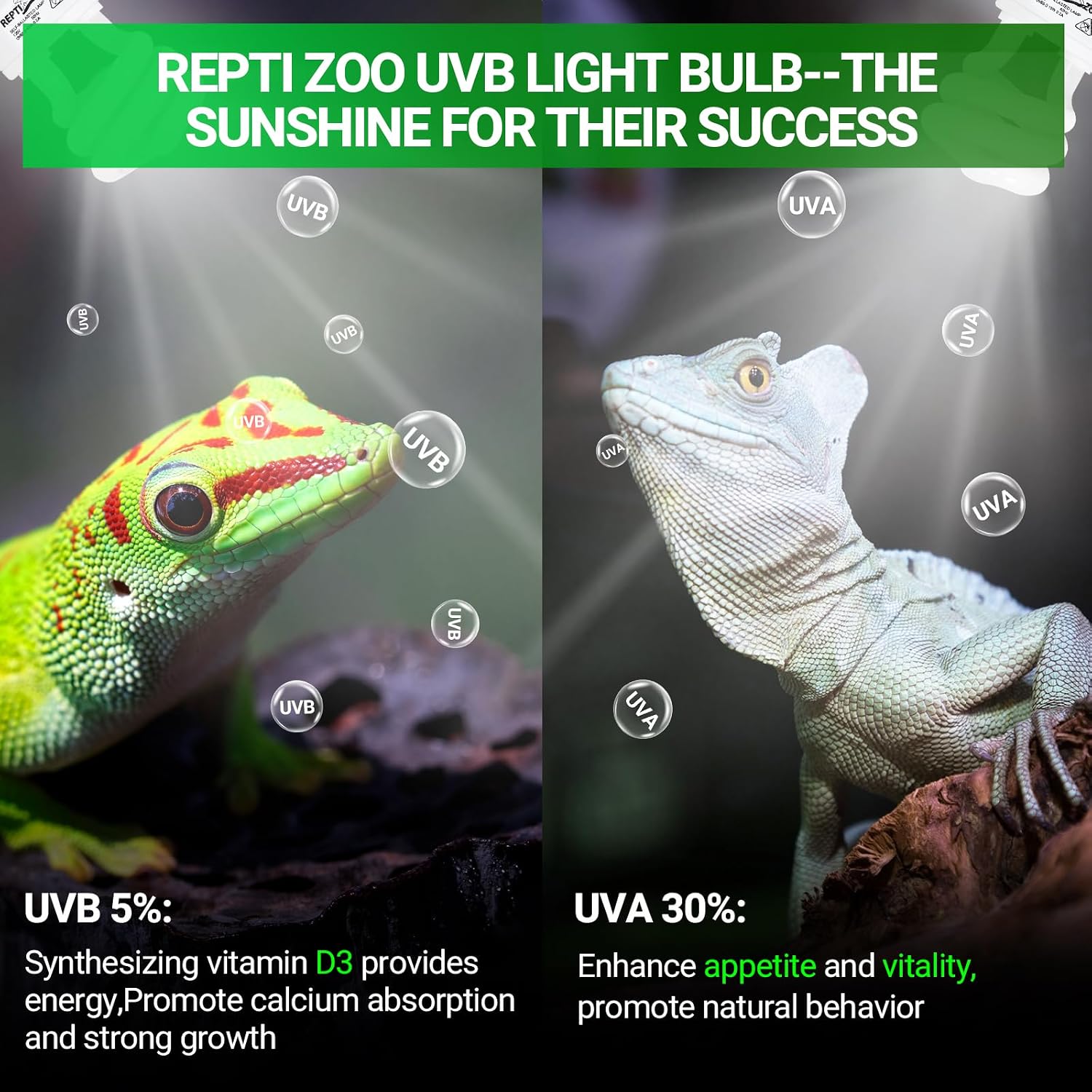 REPTI ZOO UVB Light for Tropical Reptile, 2 Pack 5.0 15W UVA UVB Reptile Light Bulb, UVB Lamp for Crested Gecko Leopard Gecko Frog Toad Snake Chameleon - Image 3