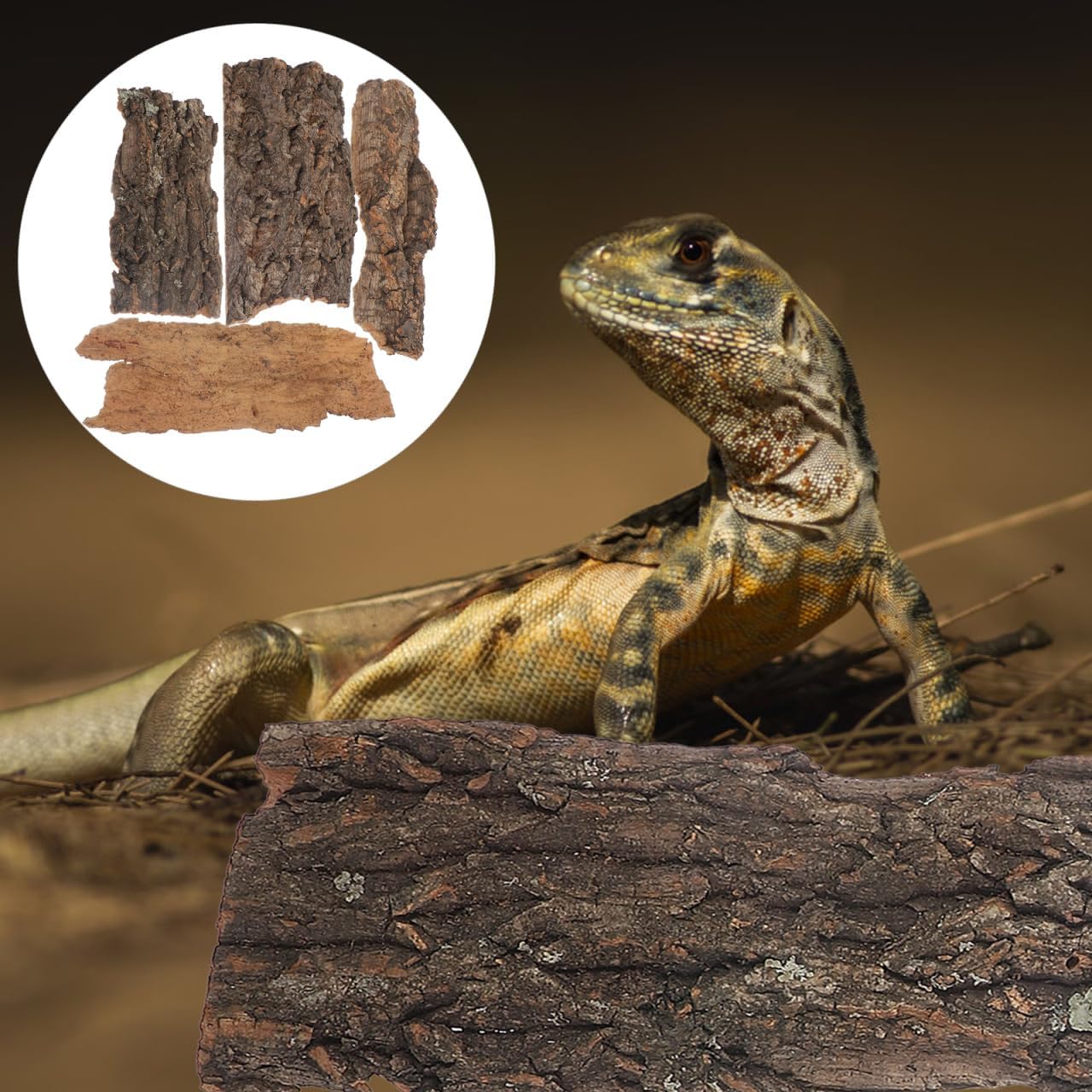 IMIKEYA 4Pcs Reptile Tree Bark Reptile Hides: Natural Wood Cork Bark Gecko Hide Small Climbing Barks Terrarium Decor Lizard Geckos Tortoise Birdcage Tank Accessories Water Tube Landscaping - Image 6