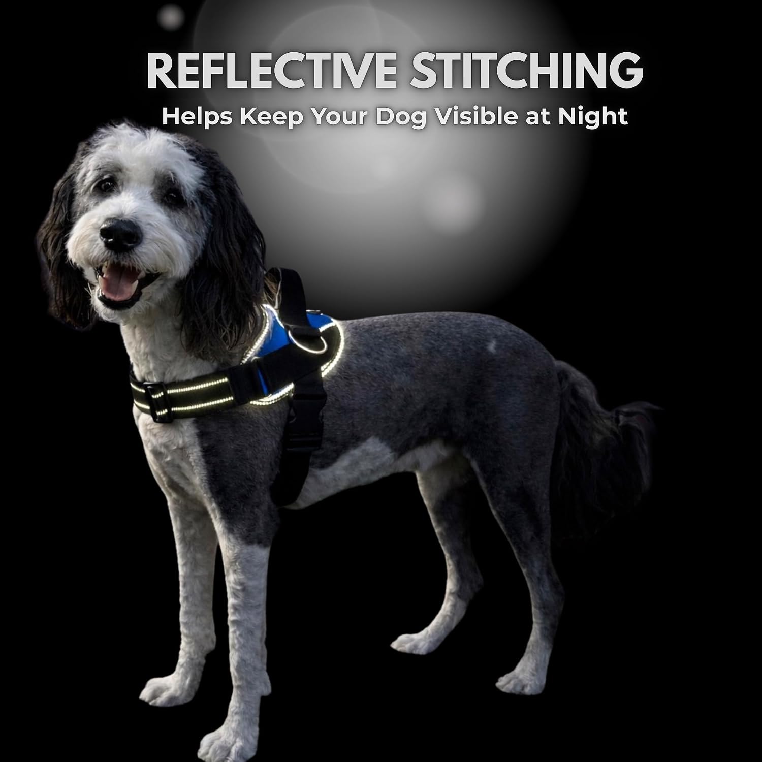 ShawnCo Essential Dog Harness, No-Pull Pet Vest with 3 Leash Clips, No Choke, Reflective, Adjustable and Padded, for Easy Walking and Training for Small, Medium and Large Dogs (ICY Lilac, XS) - Image 8
