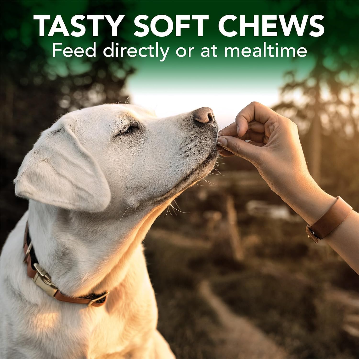 Vet's Best Seasonal Allergy Soft Chew Dog Supplements, Soothes Dogs Skin Irritation Due to Seasonal Allergies, 30 Day Supply - Image 4