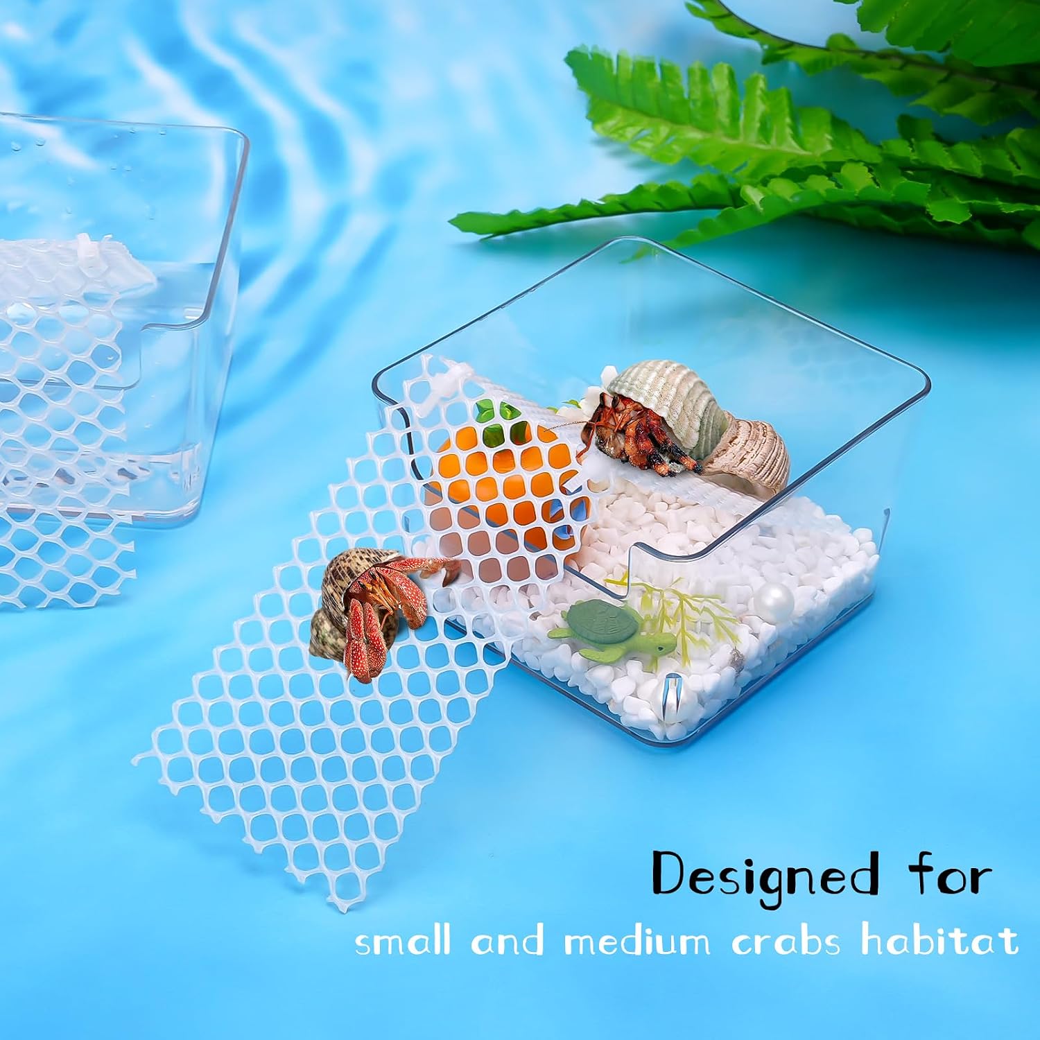 U0U 2 Pack Hermit Crab Water Tank,Hermit Crab Accessories Hermit Crabs Cage with Climbing Ramps,Acrylic Hermit Salt Water Pool for Small or Medium Hermit Crabs Habitat (Small) - Image 4