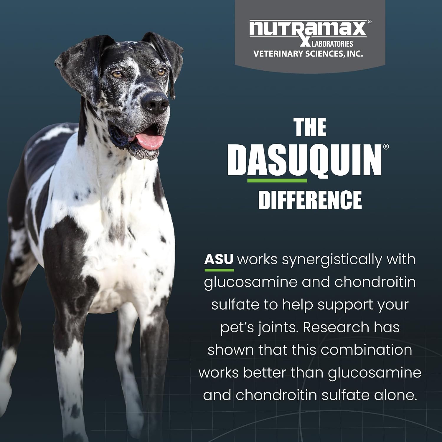 Nutramax Dasuquin for Large Dogs, Joint Health Supplement, Contains Glucosamine for Dogs, Plus Chondroitin, ASU, MSM and More, Supports Healthy Joints, Soft Chews, 42 Count - Image 6